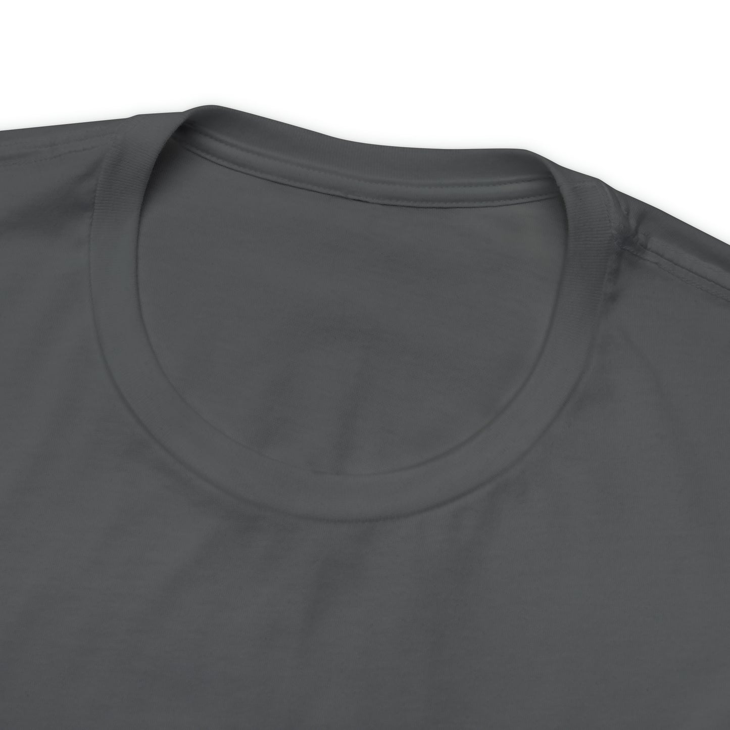 JOLLY ROGER (logo t)