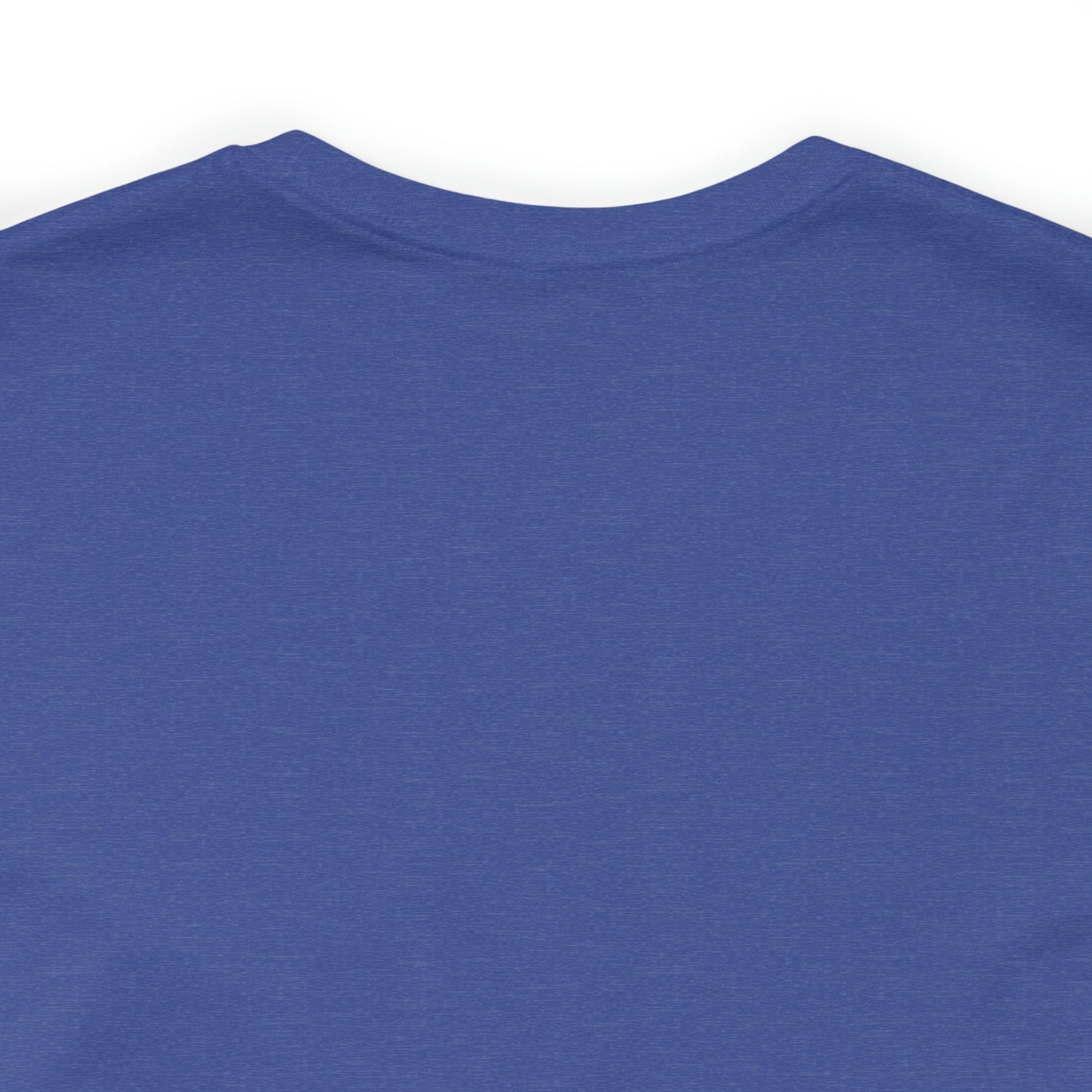 JOLLY ROGER (logo t)