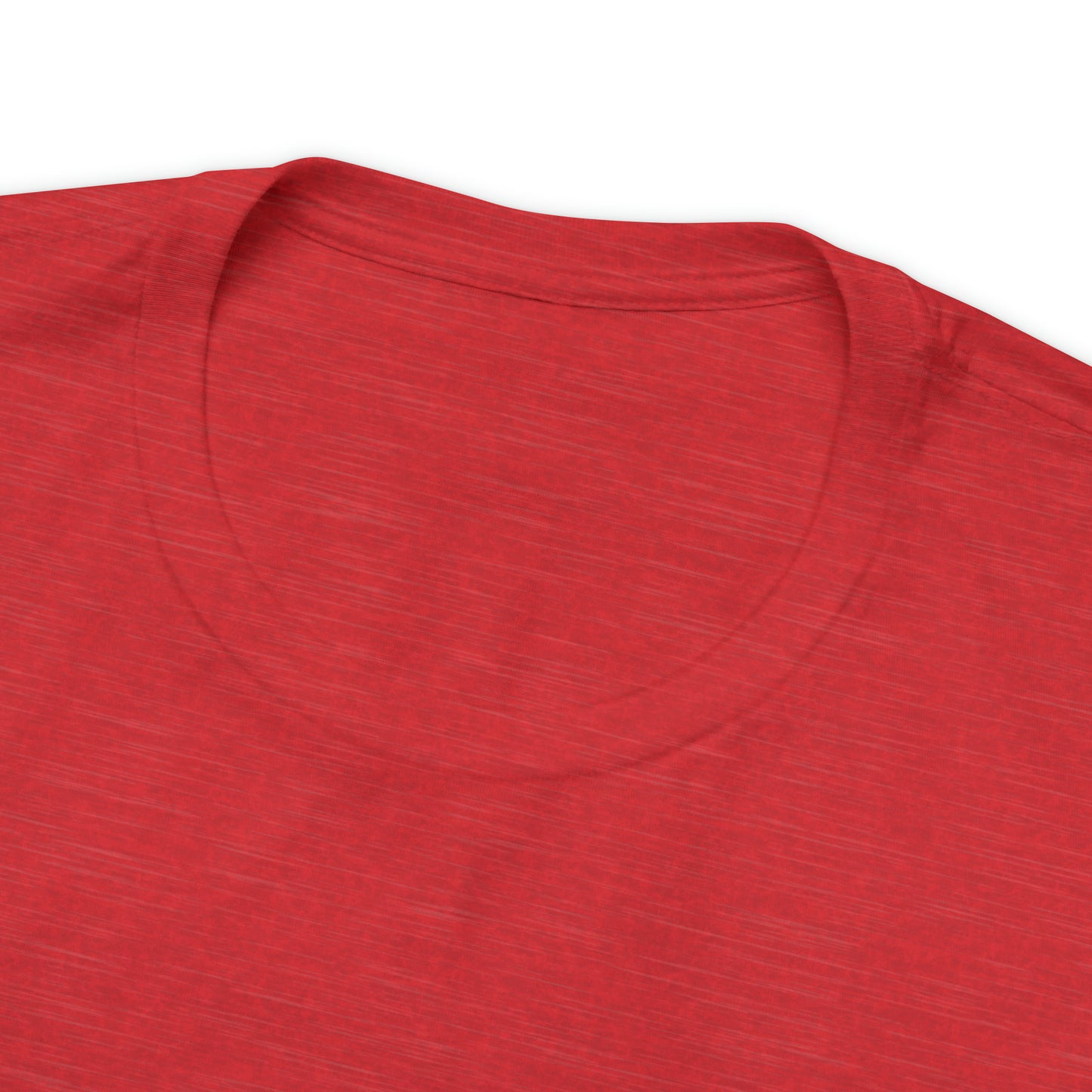 JOLLY ROGER (logo t)