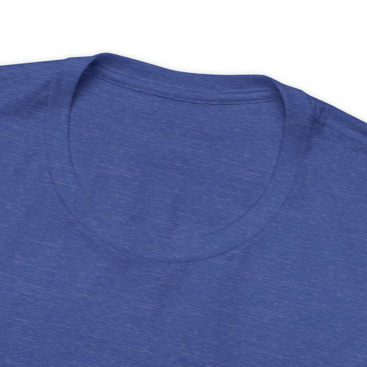 JOLLY ROGER (logo t)