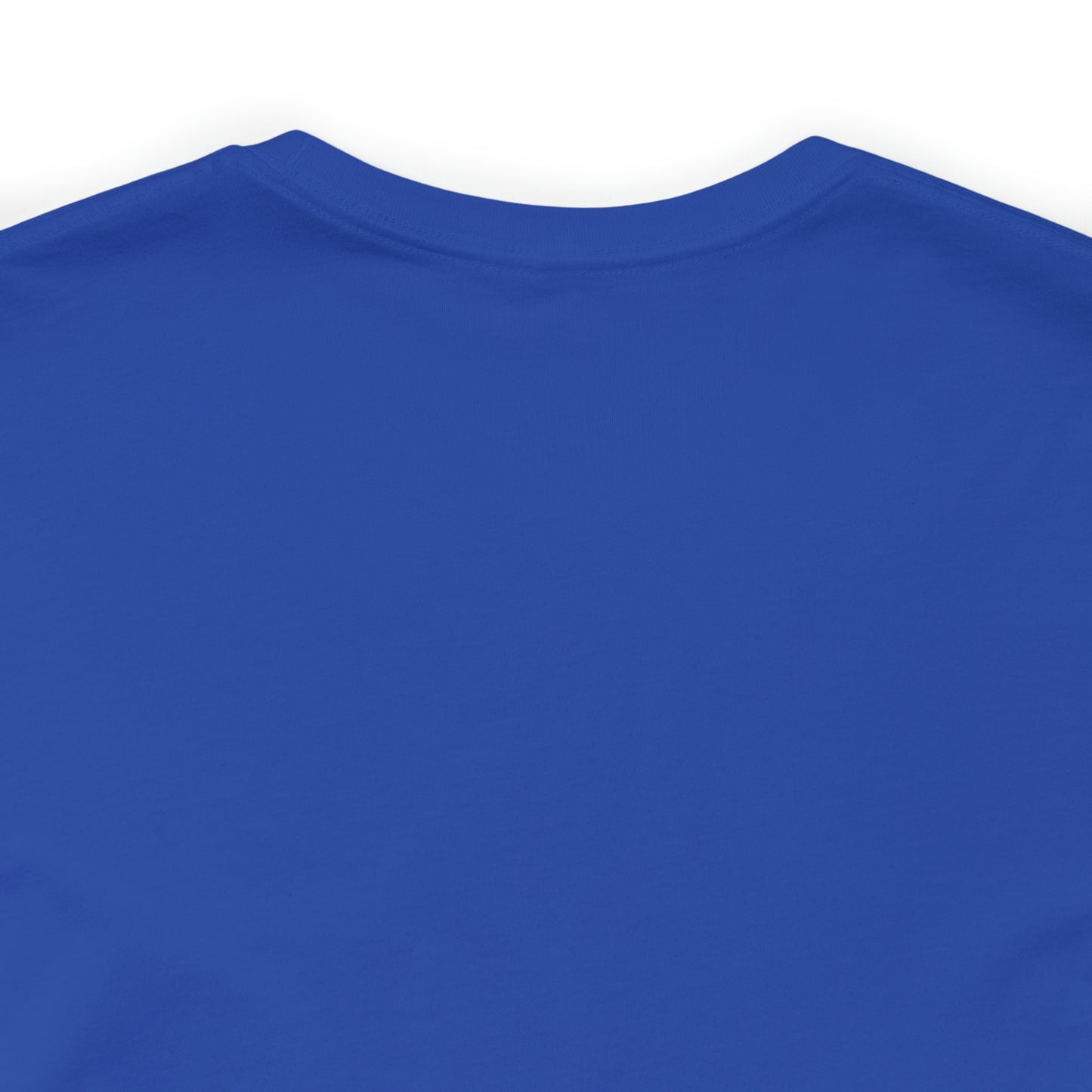 JOLLY ROGER (logo t)