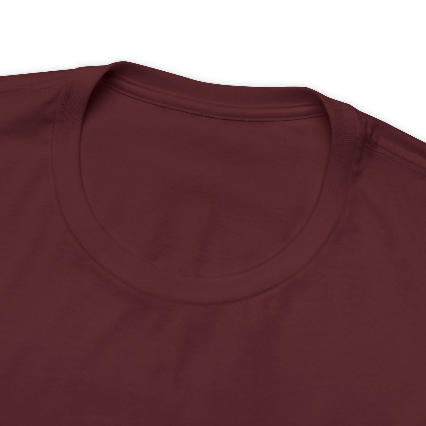 JOLLY ROGER (logo t)
