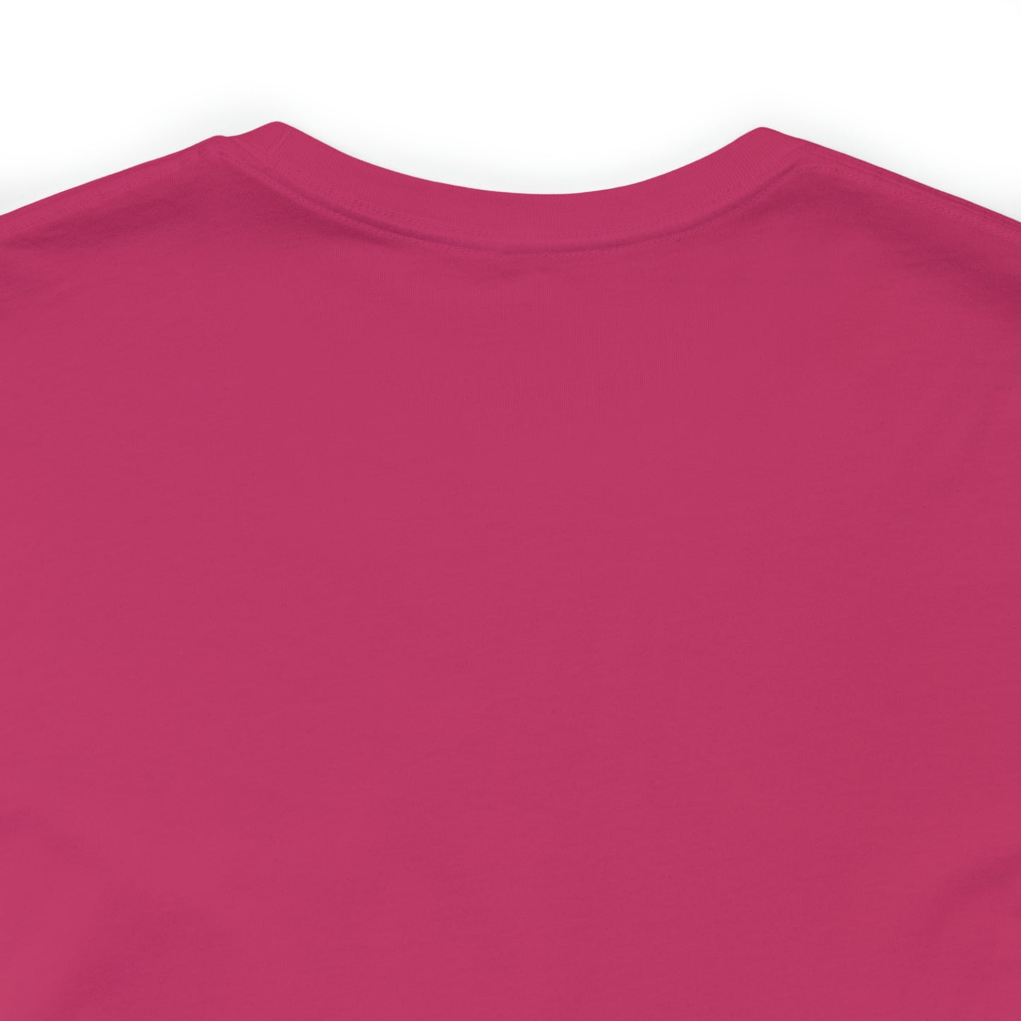 JOLLY ROGER (logo t)
