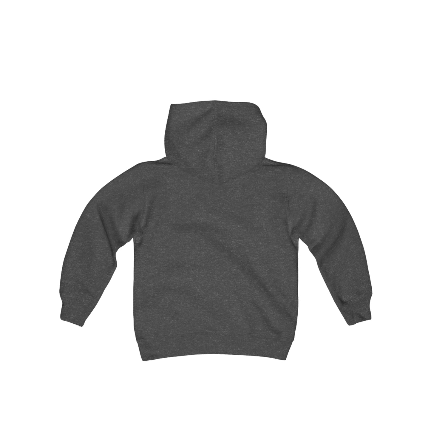 (kids) how wars are won. HOODIE