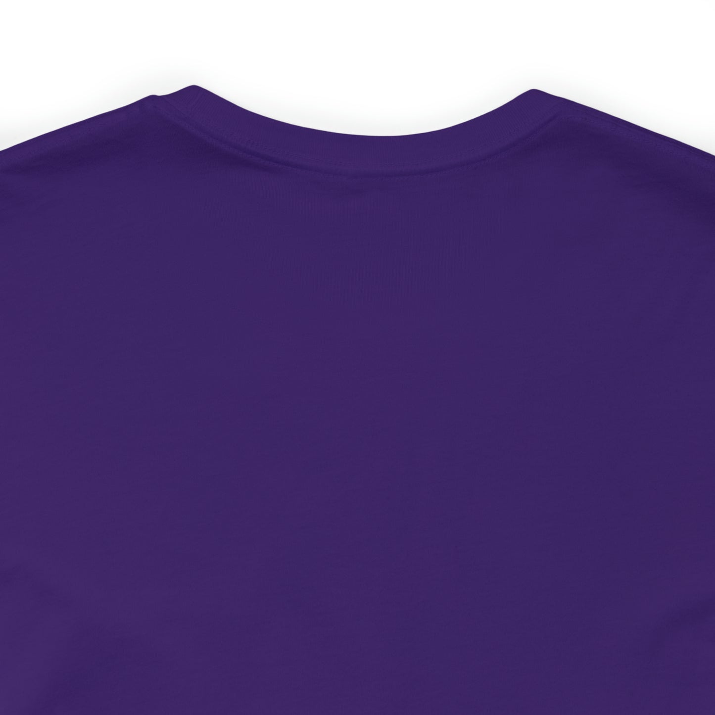 JOLLY ROGER (logo t)