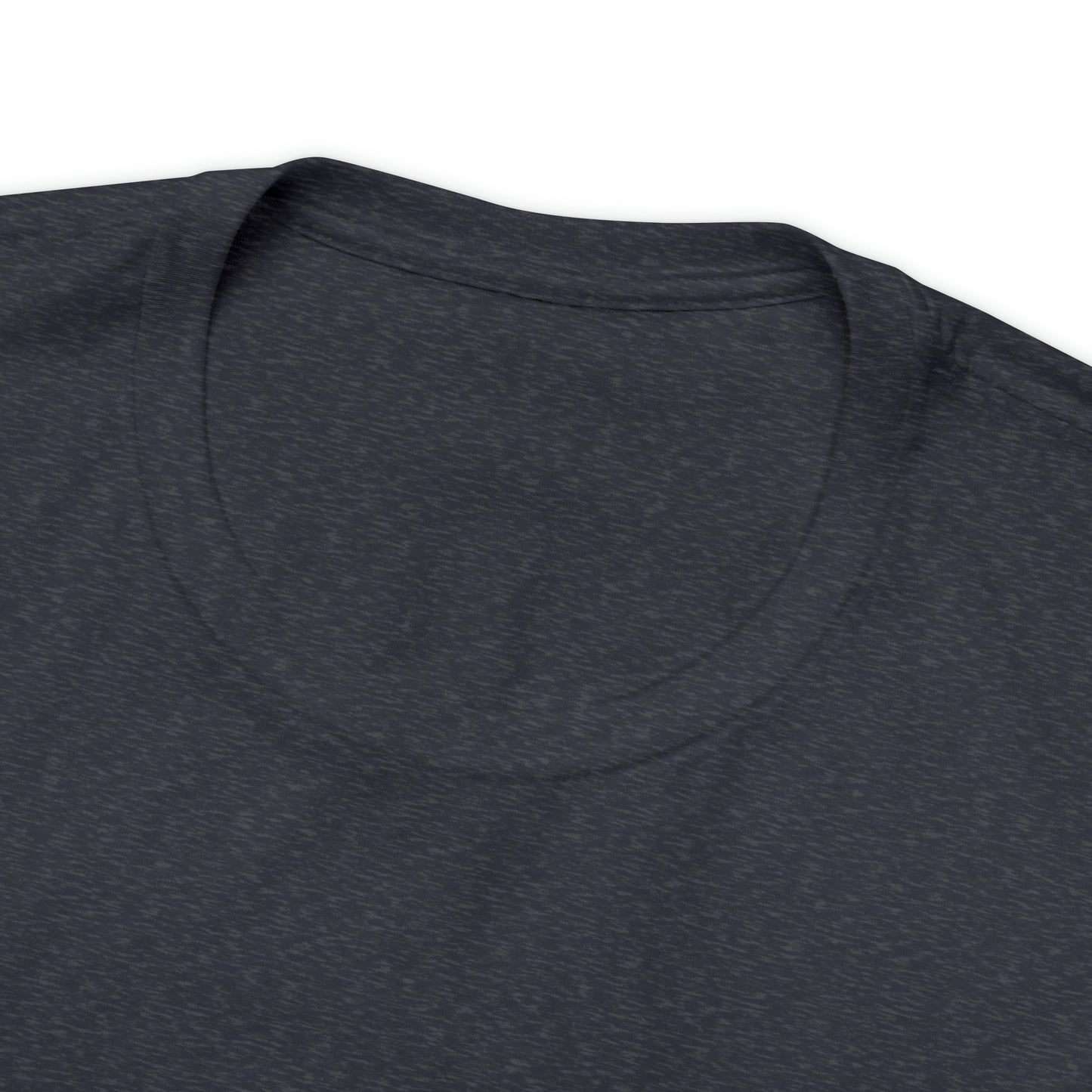 JOLLY ROGER (logo t)