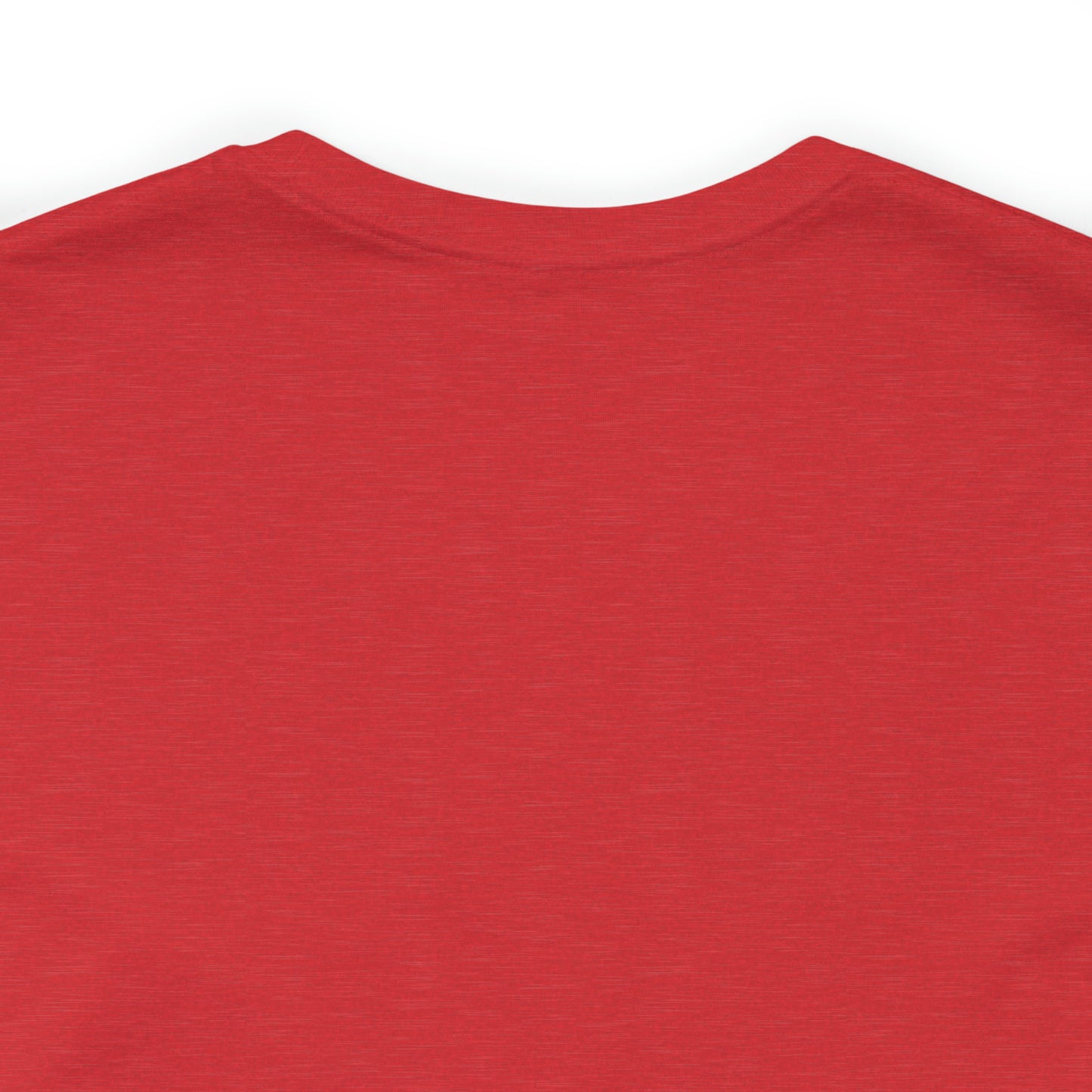 JOLLY ROGER (logo t)
