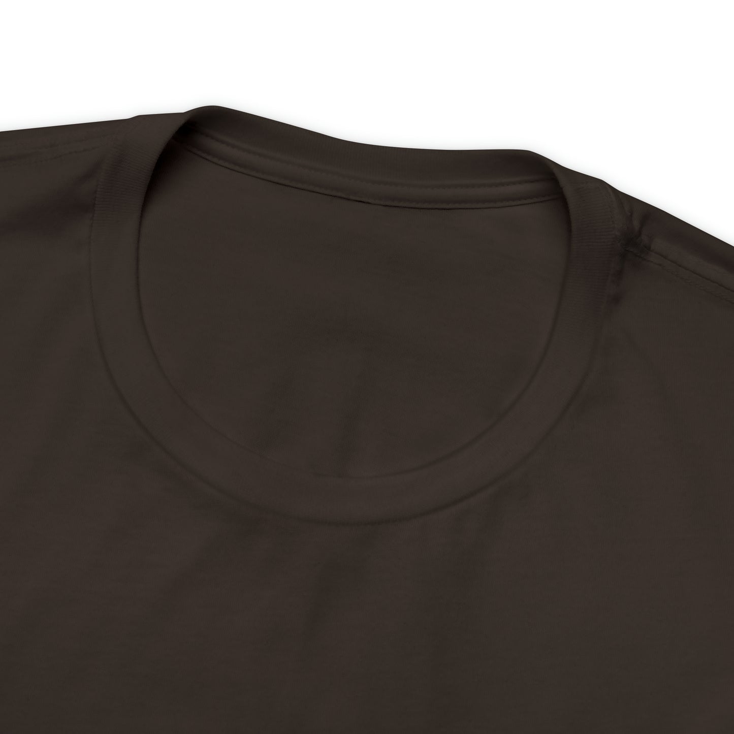 JOLLY ROGER (logo t)