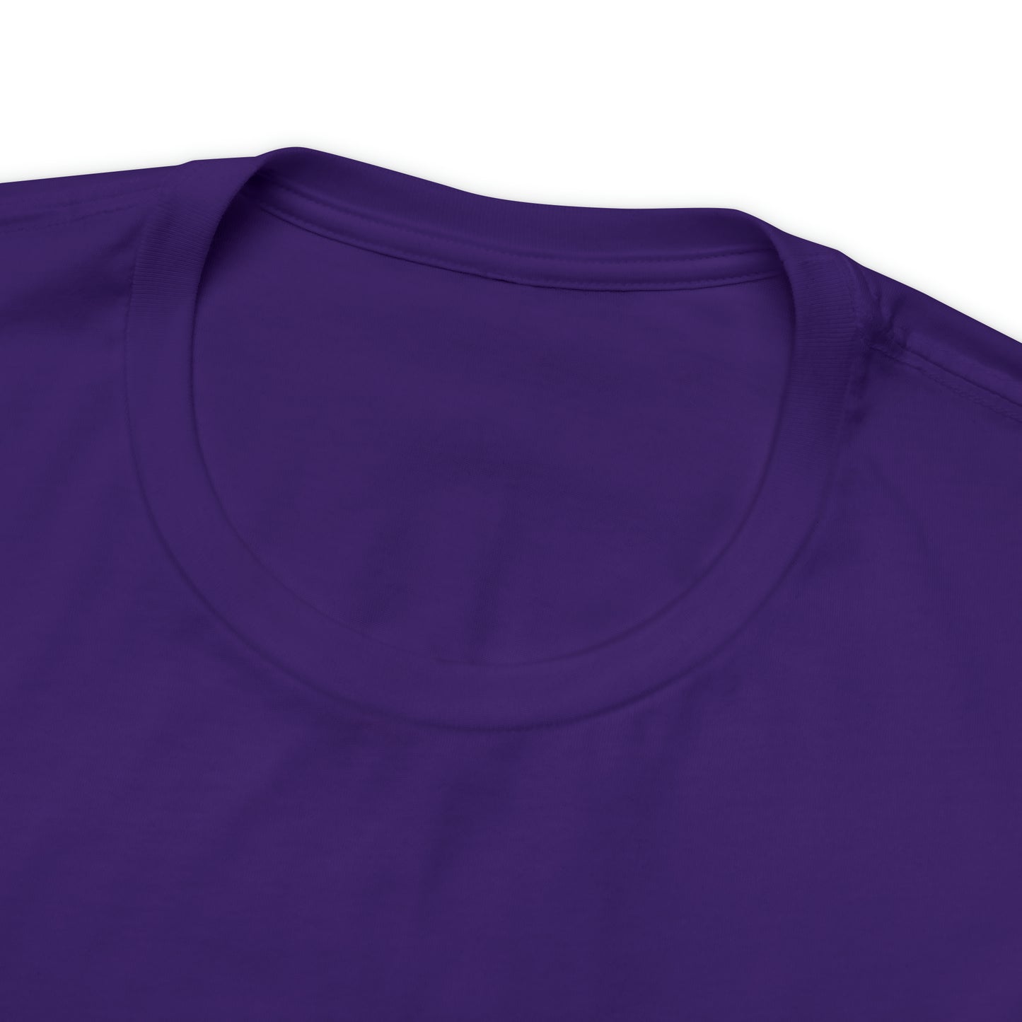 JOLLY ROGER (logo t)
