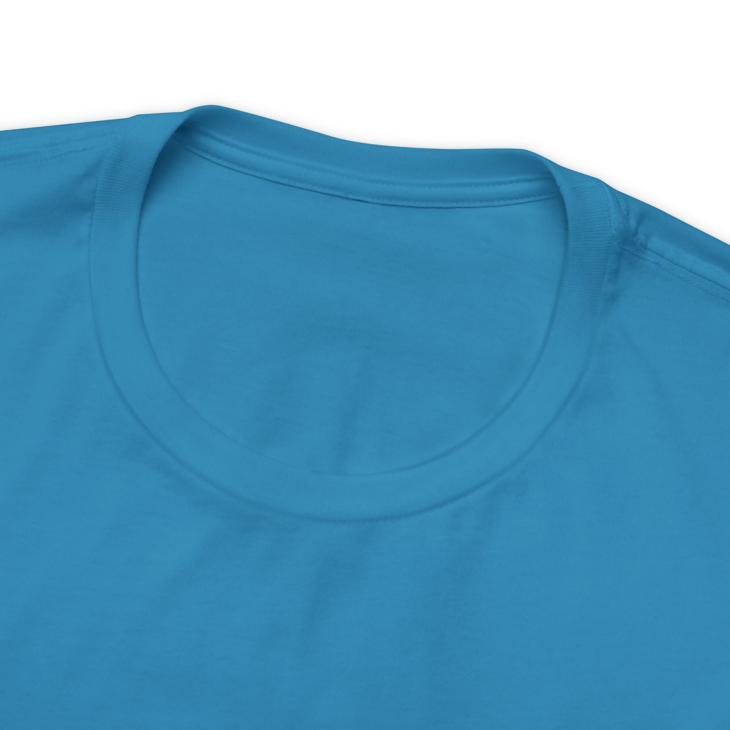 JOLLY ROGER (logo t)