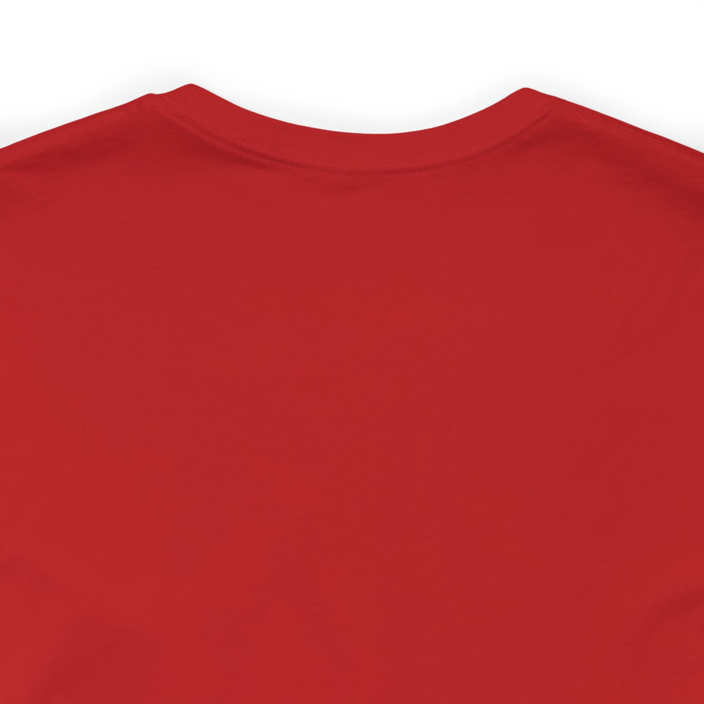 JOLLY ROGER (logo t)