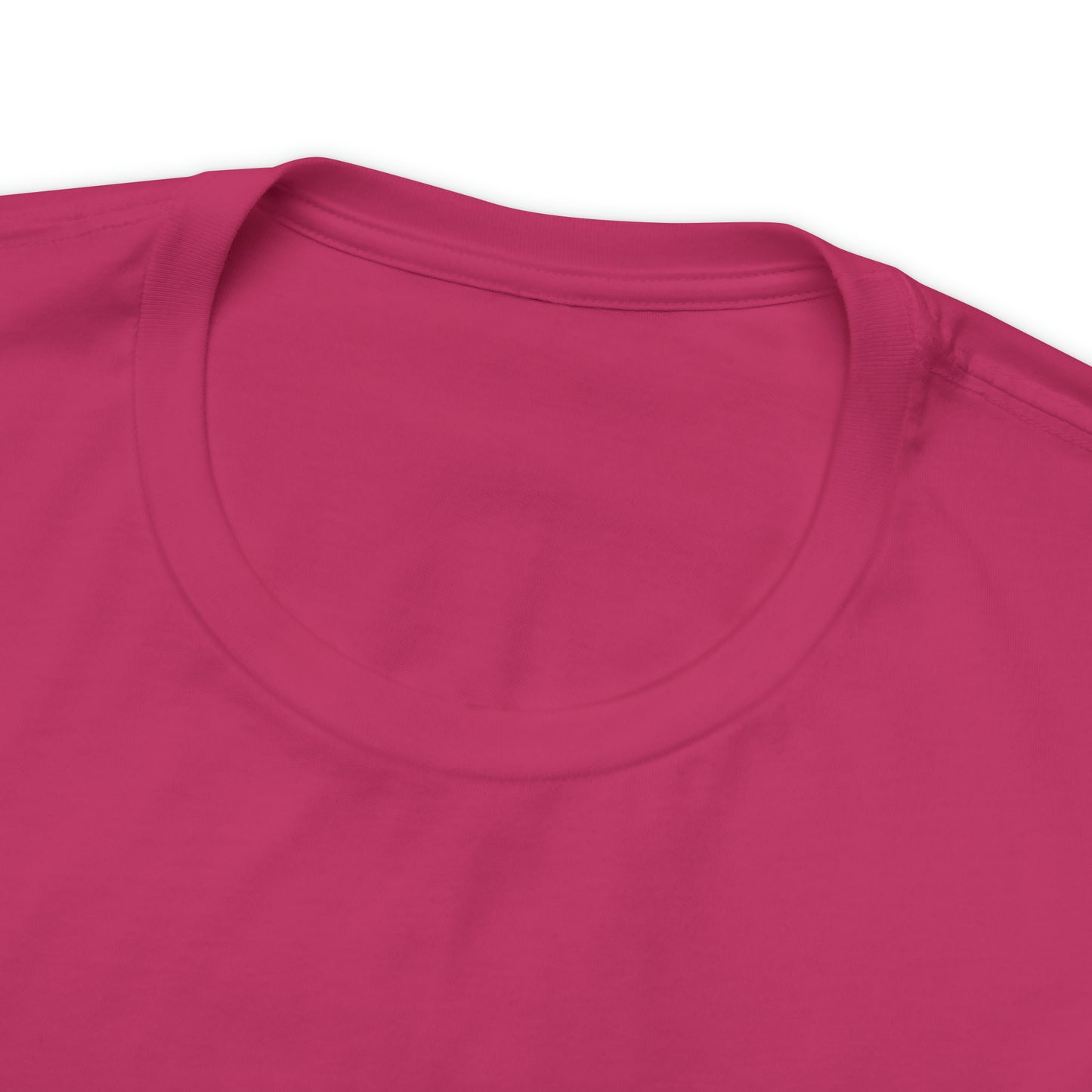JOLLY ROGER (logo t)
